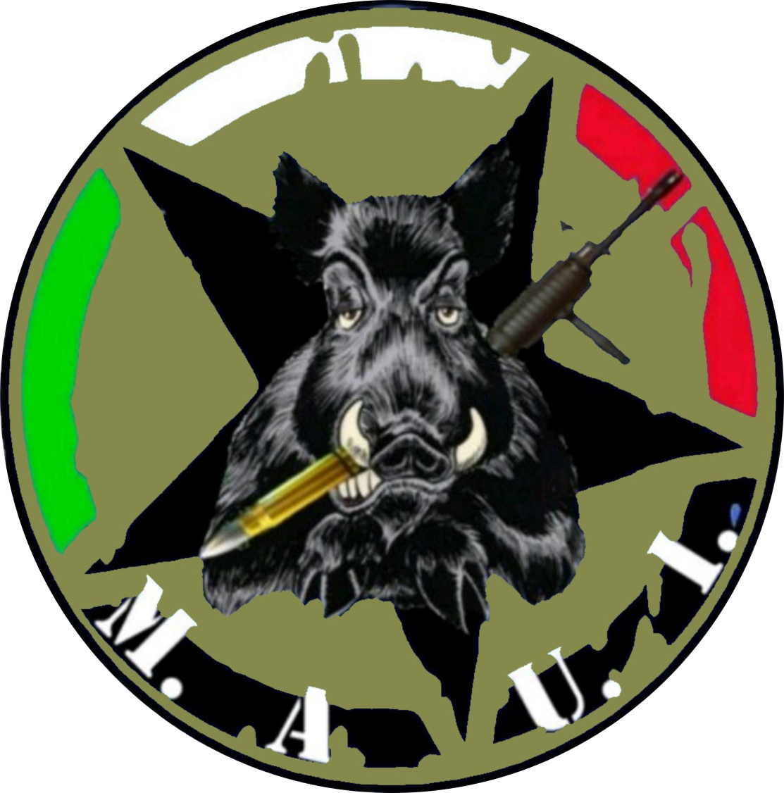 Mercatino Armi Usate Italia